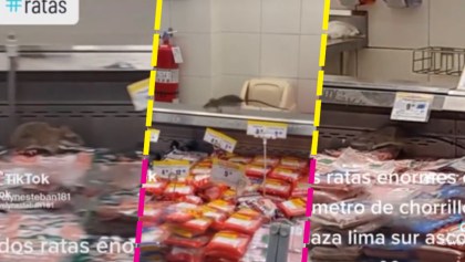 Video: Captan a dos ratas gigantes en un supermercado de Lima