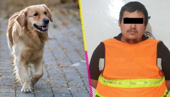 Perros muertos en Ciudad Juárez