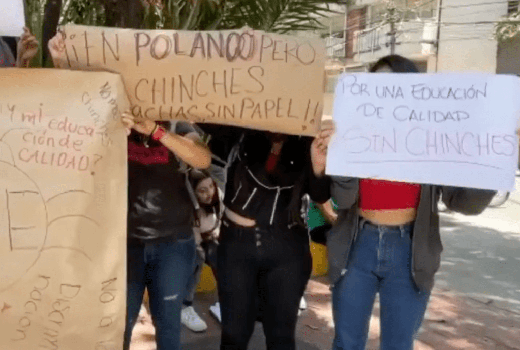 protesta-chinches-plaga-cdmx