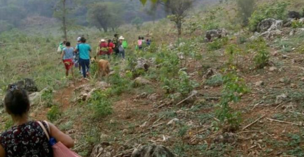 comalapa desplazamiento chiapas