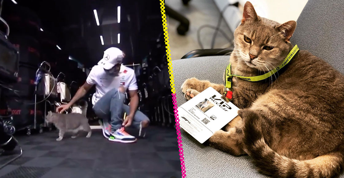 Formulino, el gato de Imola que le da buena suerte (o no) a los pilotos de Fórmula 1