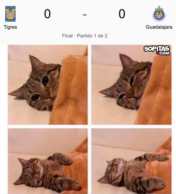 Los mejor de la final fueron los memes