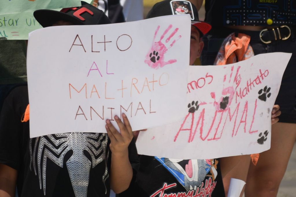 En Oaxaca: Sujeto mata a perrito que robó la comida de su hija