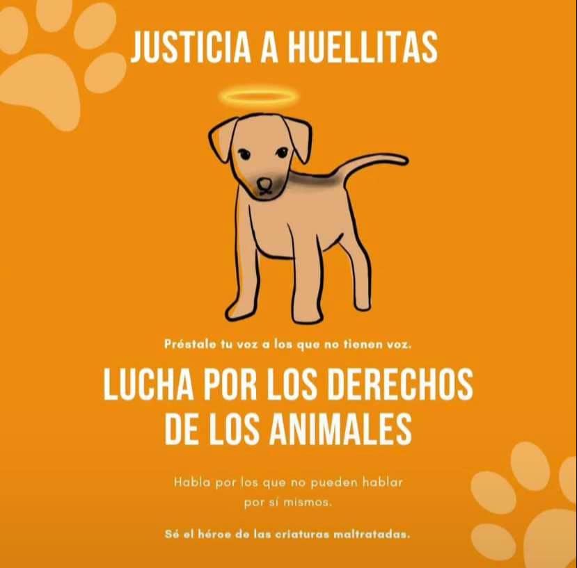 Justicia para Huellitas: Acusan a joven de CBTis de torturar y matar a perrito y presumirlo en redes