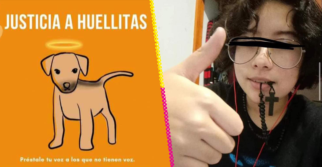 Justicia para Huellitas: Acusan a joven de CBTis de torturar y matar a perrito y presumirlo en redes