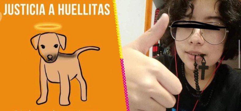 Justicia para Huellitas: Acusan a joven de CBTis de torturar y matar a perrito y presumirlo en redes