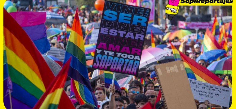 lgbt-marcha-diccionario-cdmx