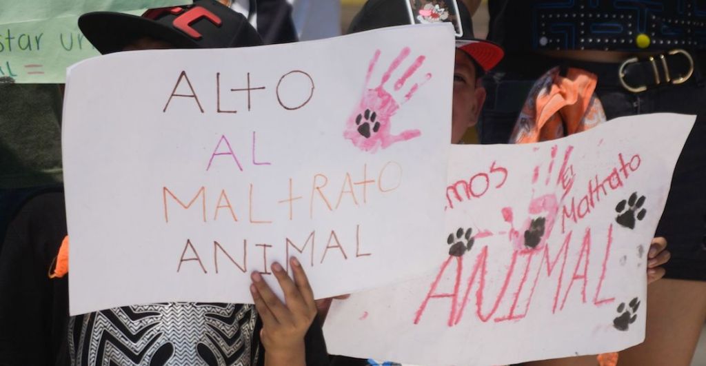 marcha-derecho-animales-cdmx