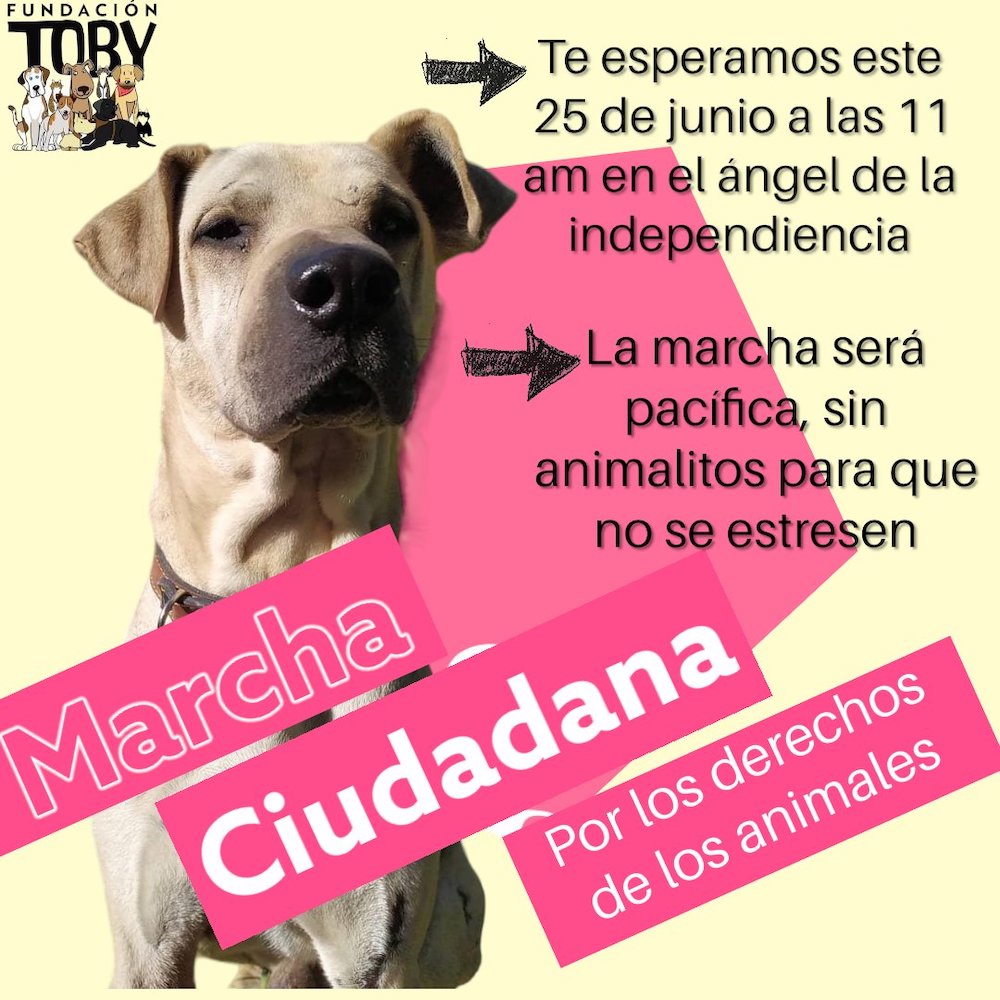 marcha-derecho-animales-contra-violencia-cdmx