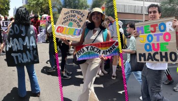 Pancartas de la Marcha LGBT.