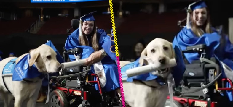 Perrito guía recibió un diploma por acompañar a su dueña en la universidad