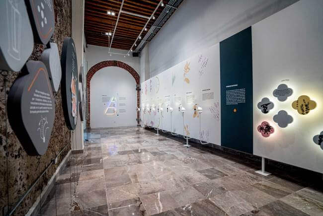 Así es el Museo del Perfume