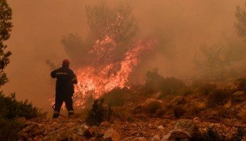 Incendios forestales consumen zonas de Grecia, Italia y Algeria