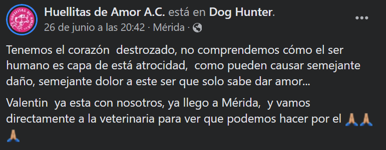 Detienen a dos mujeres que quemaron la cabeza de un perrito por comerse un huevo