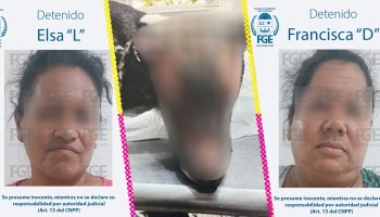 Detienen a dos mujeres que quemaron la cabeza de un perrito por comerse un huevo