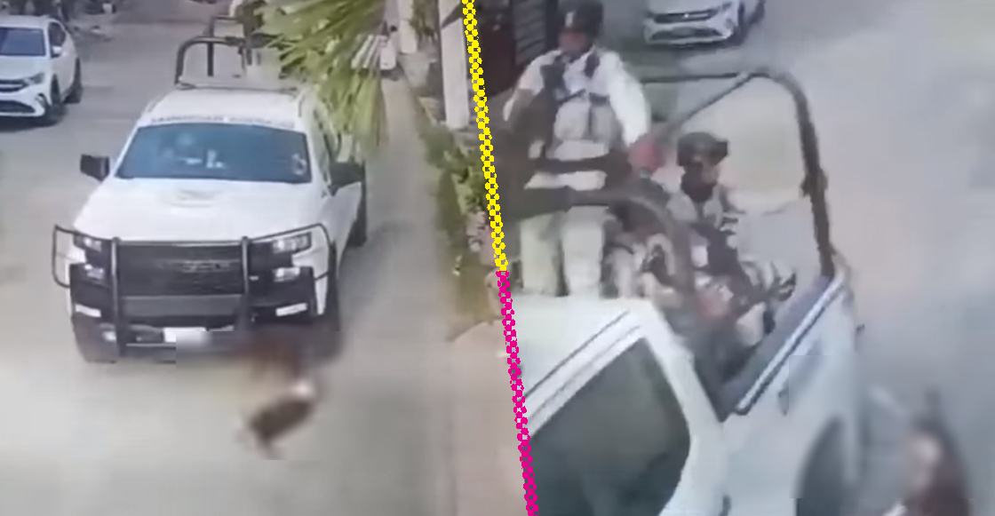 Video muestra a Guardia Nacional atropellando a dos perritos en Acapulco