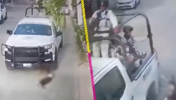 Video muestra a Guardia Nacional atropellando a dos perritos en Acapulco