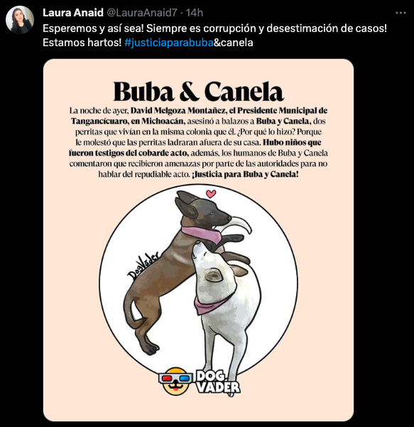 justicia para buba y canela 1