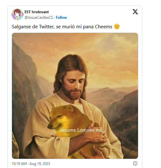 Murió Cheems y lo despiden con emotivos memes