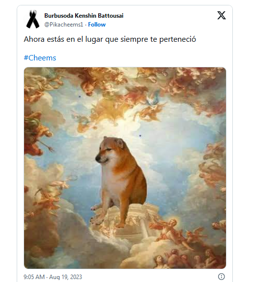 Murió Cheems y lo despiden con emotivos memes