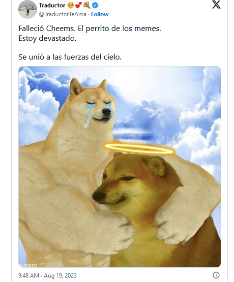 Murió Cheems y lo despiden con emotivos memes