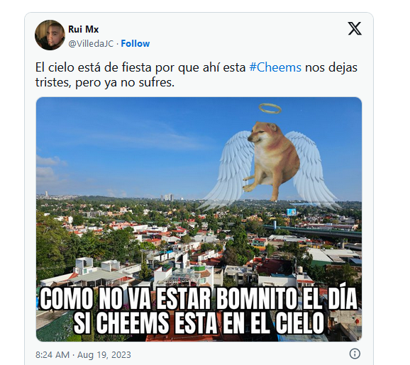 Murió Cheems y lo despiden con emotivos memes