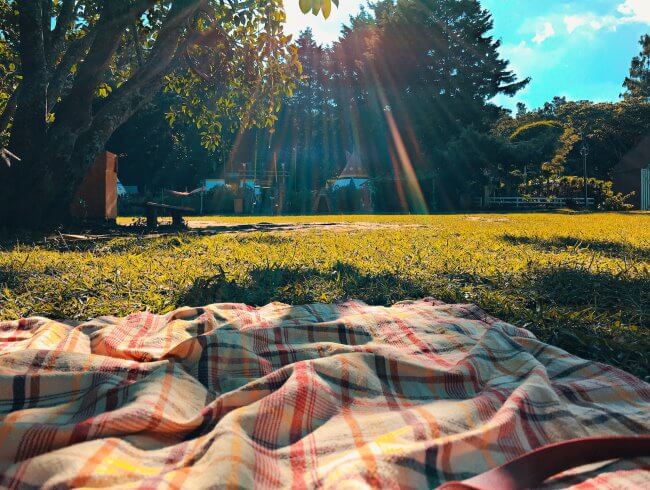 Vámonos de picnic a La Marquesa