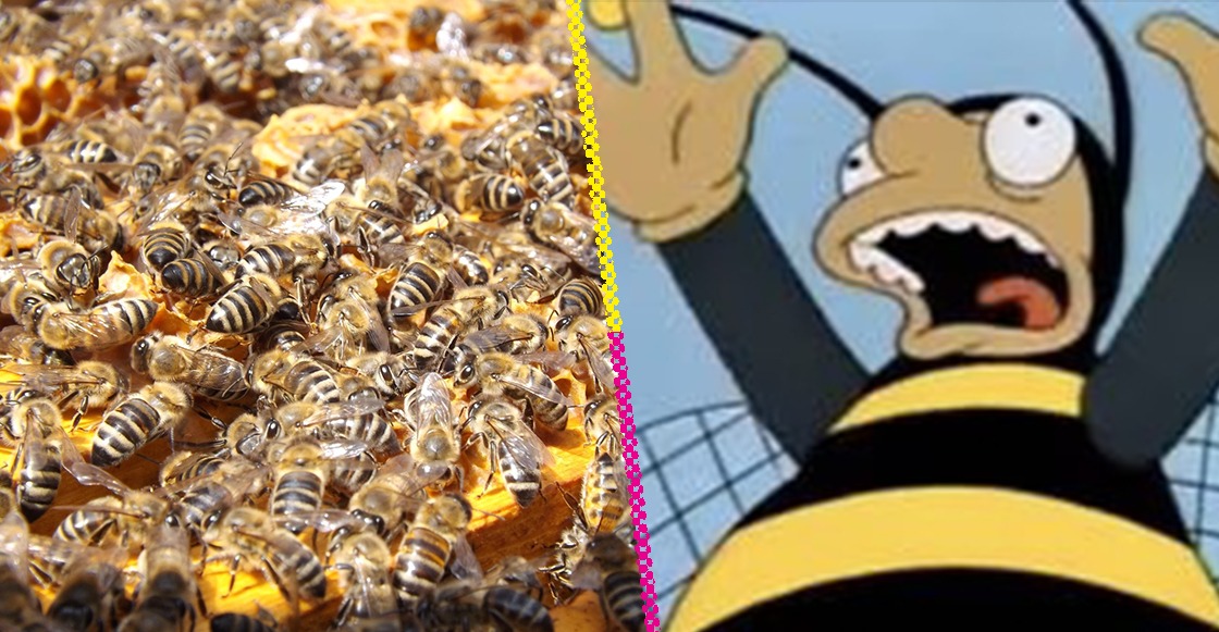 Ay, ay, ay: 5 millones de abejas cayeron de un camión en Canadá