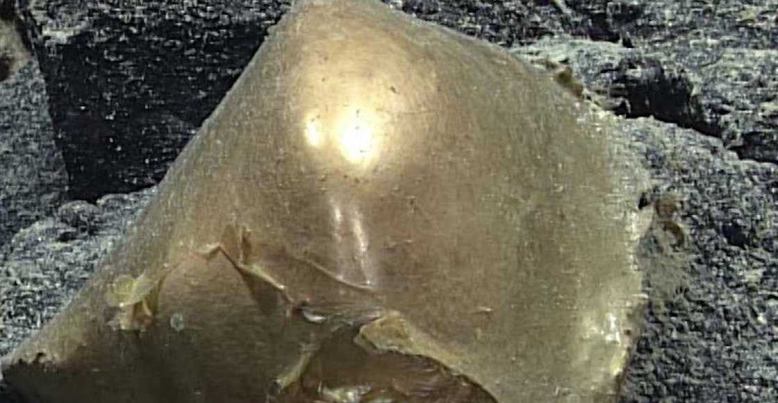 El misterio del huevo dorado encontrado en el fondo del mar de Alaska