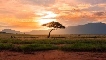 Abrirá en Kenia el Museo de la Humanidad y es asombroso