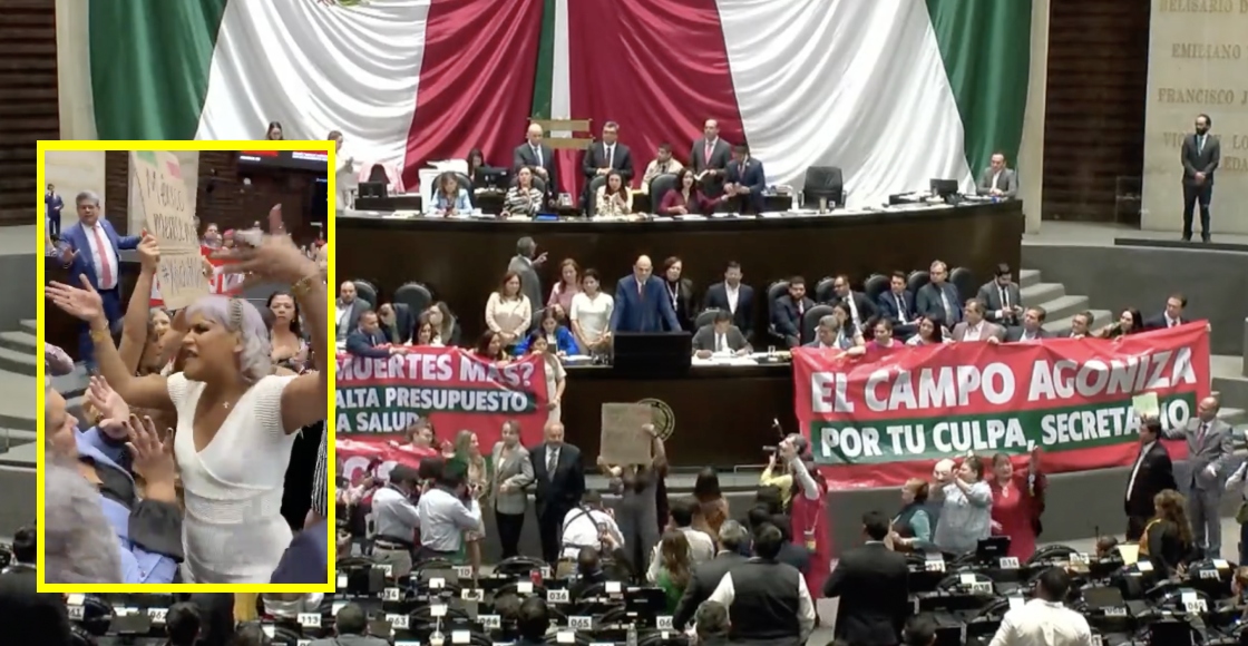 "Amarren a sus perras": Así discuten nuestros diputados