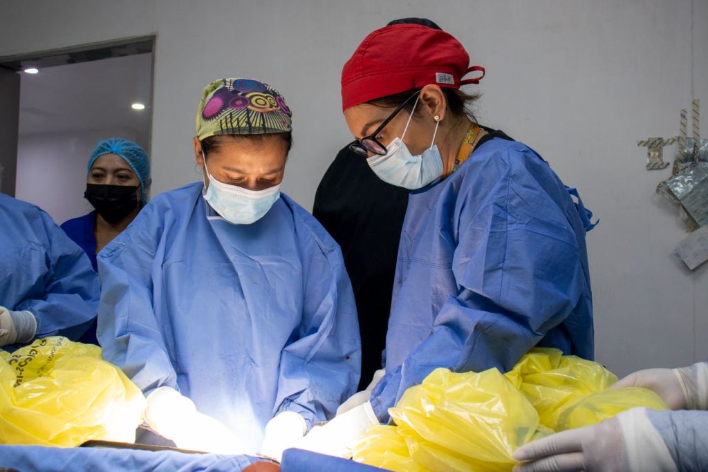 donacion de organos imss campeche 1