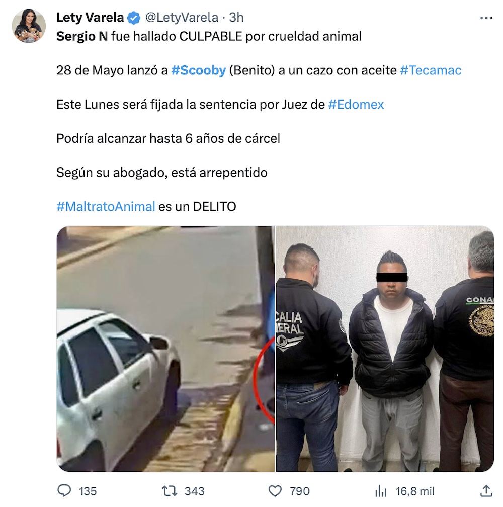 Declaran culpable a expolicía que arrojó a un cazo al perrito Scooby (Benito)