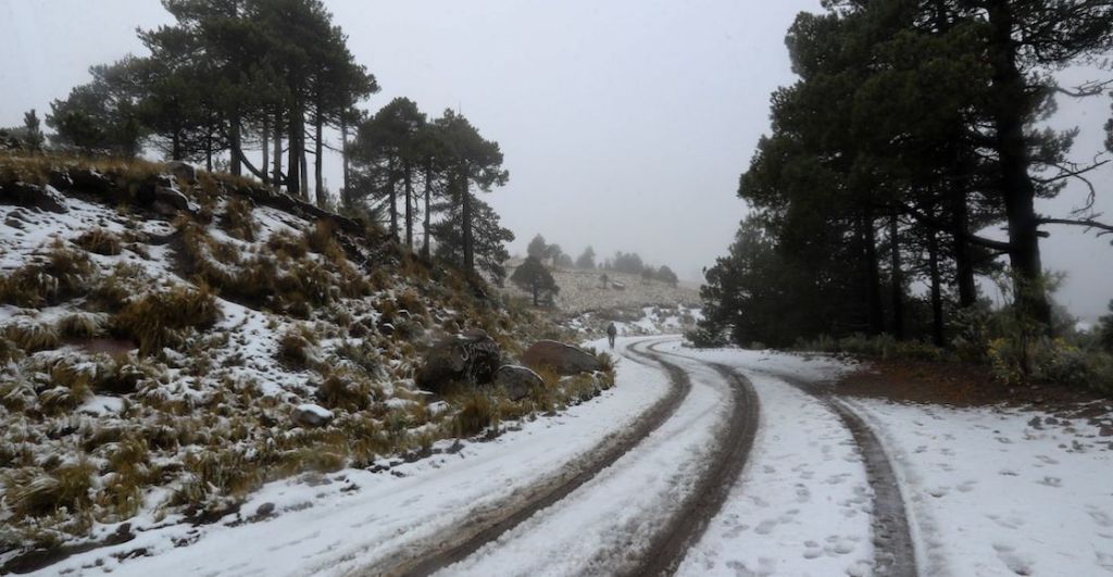 Frente Frío, heladas y chipi chipi: Así estará el clima del 27 al 30 de noviembre en CDMX y el resto de México