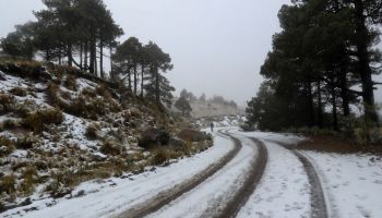 Frente Frío, heladas y chipi chipi: Así estará el clima del 27 al 30 de noviembre en CDMX y el resto de México