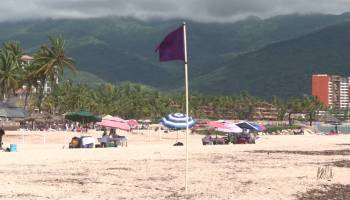 Nadie entra al mar: Bandera morada en Jalisco por ataque de tiburón