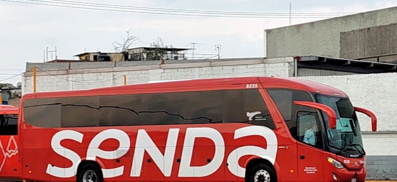 autobus senda tamaulipas