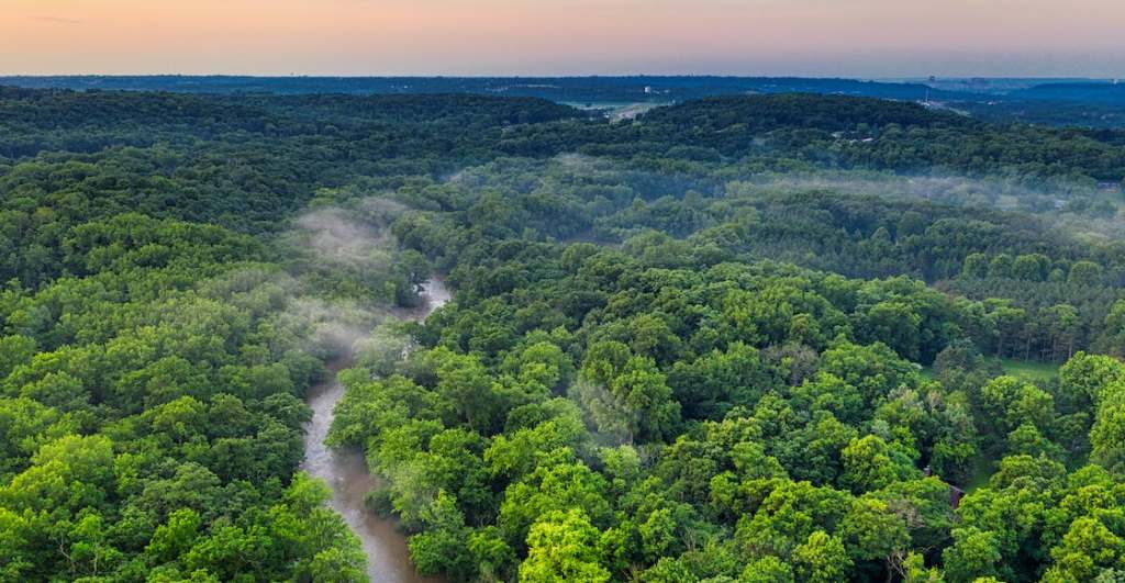 Científicos descubren antiguas ciudades en el Amazonas.