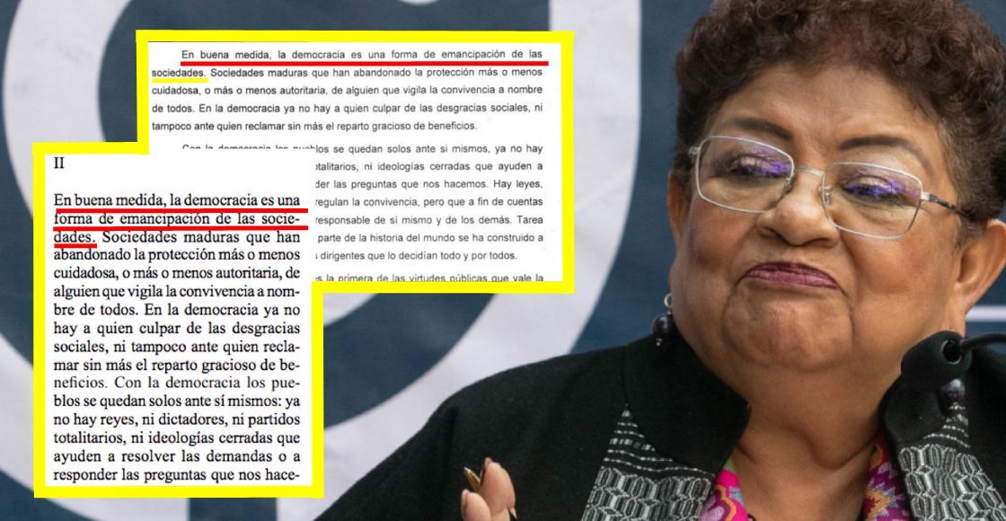 Ernestina Godoy plagió su tesis.