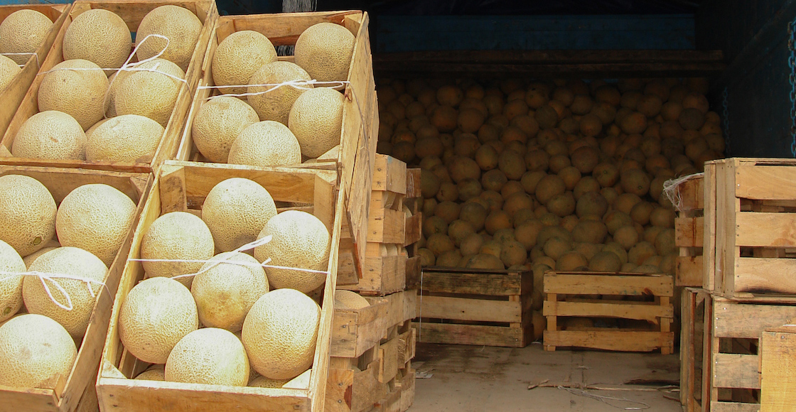 melones mexicanos