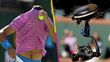 Así fueron retiradas las abejas que invadieron y picaron a Alcaraz en Indian Wells