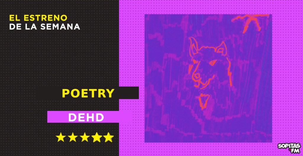 dehd-poetry-resena-disco