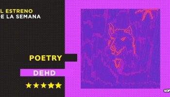 dehd-poetry-resena-disco