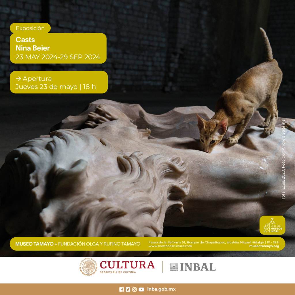 'Casts': La exposición del Museo Tamayo y por qué la señalan de maltrato animal 