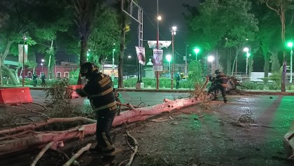 Se caeee el cielo: Fuertes vientos, lluvias y apagones sorprenden a CDMX