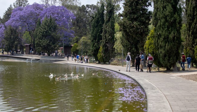 6 planes para hacer con papá en el Día del Padre