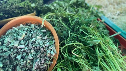 Nos lanzamos a un tianguis para averiguar del desabasto y precio del cilantro