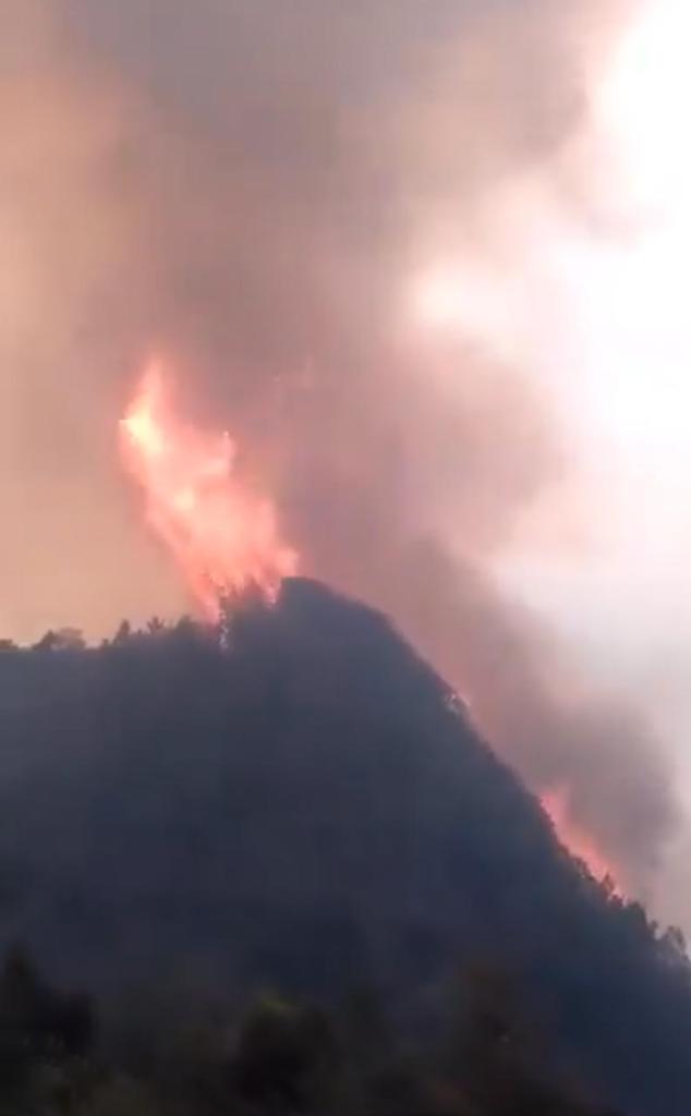 El incendio entre Puebla y Veracruz que lleva días sin control