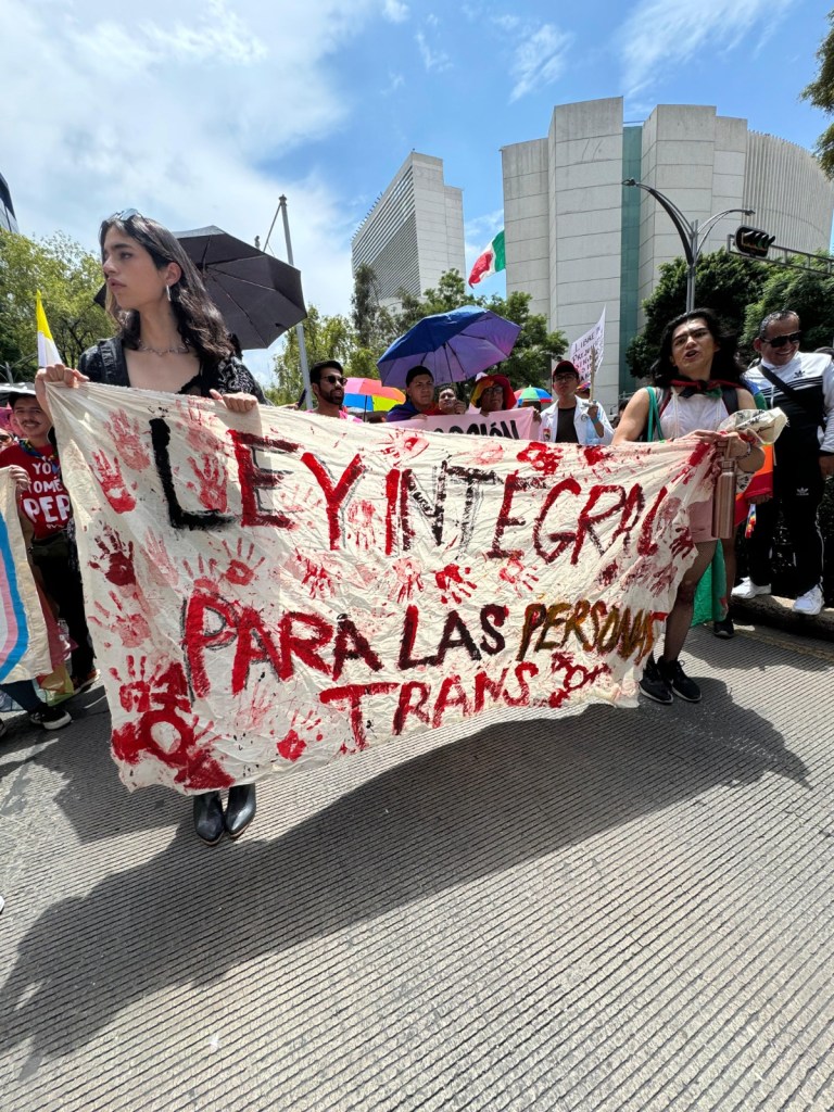 Manifestantes exigen derechos para las personas trans.