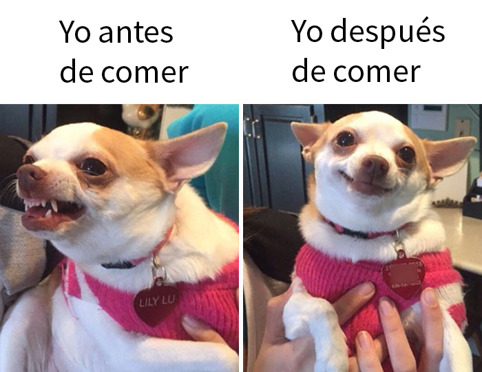 Un meme sobre la hora de la comida